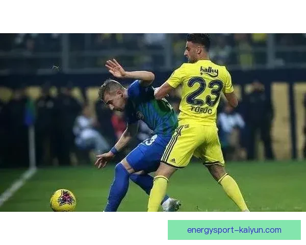 里尔战术解析：近期攻防体系与中场组织走势清晰